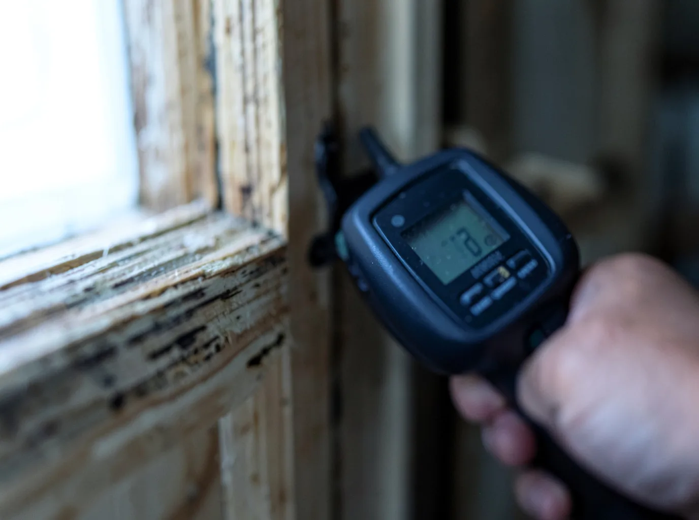 Moisture Inspection And Documentation in Angelica, NY